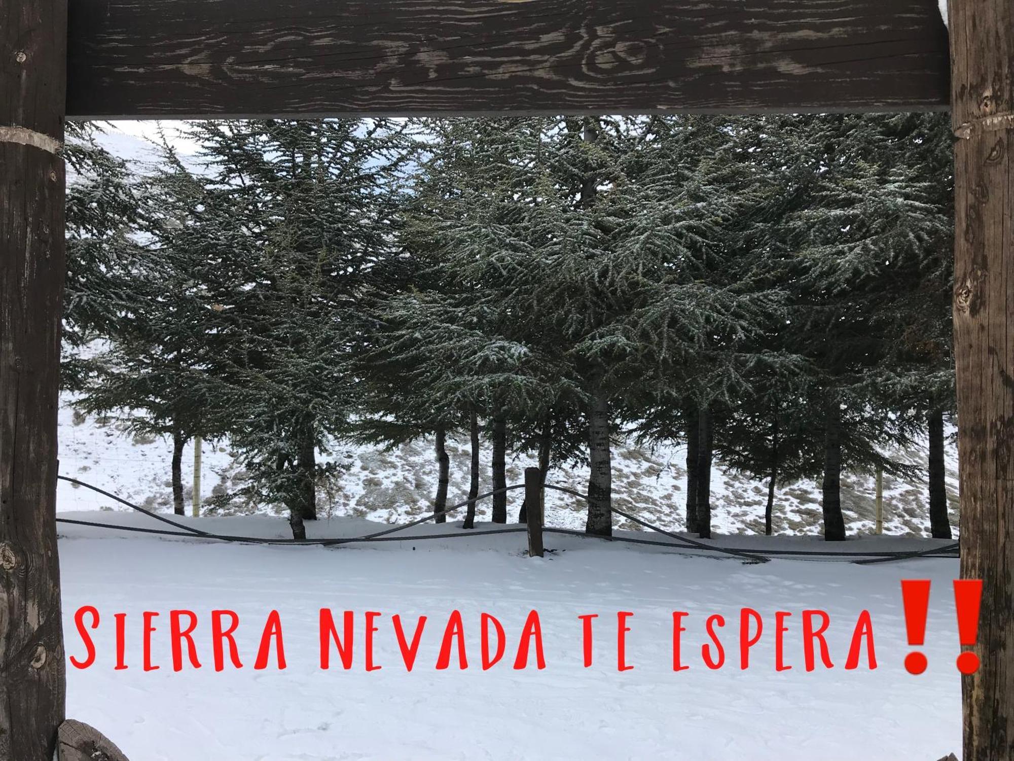 Inside Plaza Sierra Nevada Apartment Exterior photo